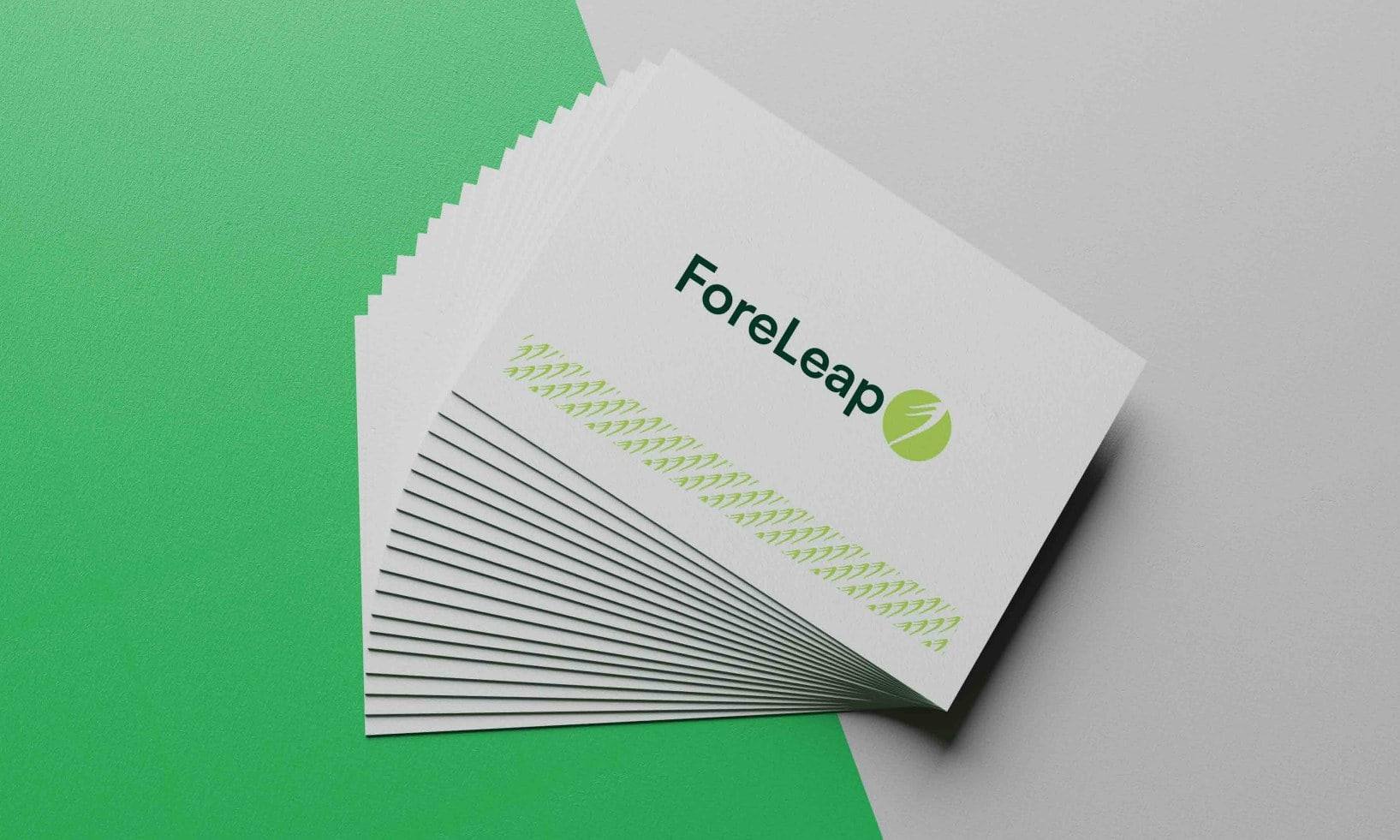 Foreleap Brand Guidelines — execution